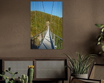 Hangbrug over de kloof van Markus Lange