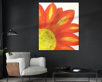 Orangefarbene Chrysantheme von Sandra Steinke