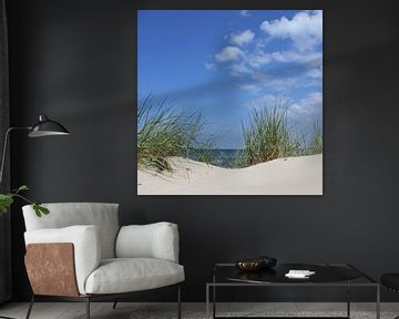 Dunes by Ostsee Bilder
