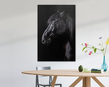 Tête de cheval Blackfoto sur Ellen Van Loon