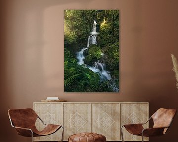 Chute d'eau de Nouvelle-Zélande à Alpine Crossing sur Jean Claude Castor