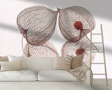 The end is near... just a little longer together by Marjolijn van den Berg