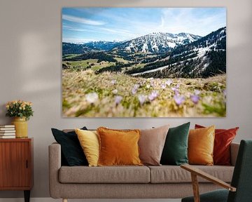 Crocuses on the Oberjoch with a view of the Iseler by Leo Schindzielorz