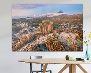 Neuseeland Mount Ngaruhoe im Tongariro Nationalpark von Jean Claude Castor