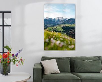 Frühlingshafter Blick auf den Hochgrat und Steibis bei Oberstaufen von Leo Schindzielorz