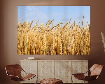 A wheat field in summer by Claude Laprise