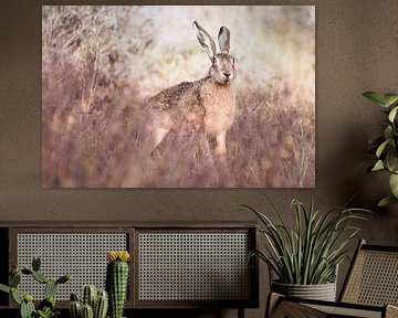 Hazel the hare by mirka koot