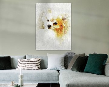 Photo Portrait Of A Long Haired Chihuahua by Dorothy Berry-Lound
