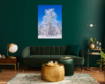 Snowy tree with blue sky by Adelheid Smitt