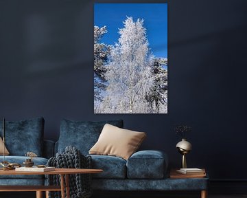 Tree in winter plumage by Adelheid Smitt