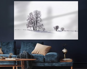 Silhouette et ombre d'arbres dans la neige sur Adelheid Smitt