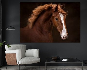 Portrait of chestnut horse by Laura Dijkslag