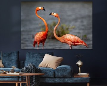 Flamingo's by Pieter JF Smit
