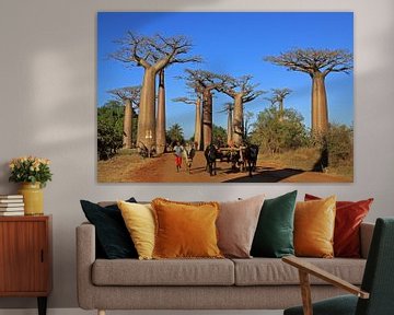 Baobab allee in Madagaskar van Antwan Janssen