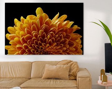 amberkleurige chrysant van Ineke Huizing