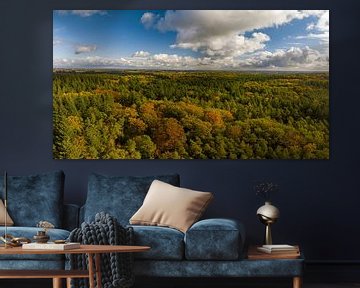 Forêt d'automne avec des feuilles colorées vue d'en haut sur Sjoerd van der Wal Photographie