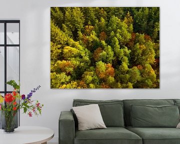 Herfstbos met kleurrijke bladeren van bovenaf gezien