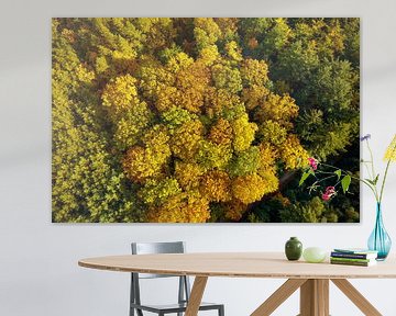 Herfstbos met kleurrijke bladeren van bovenaf gezien