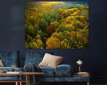Herfstbos met kleurrijke bladeren van bovenaf gezien van Sjoerd van der Wal Fotografie