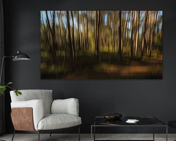 creatieve natuurfotografie 'woodlands'