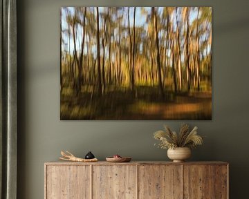 creatieve natuurfotografie 'woodlands' part 2