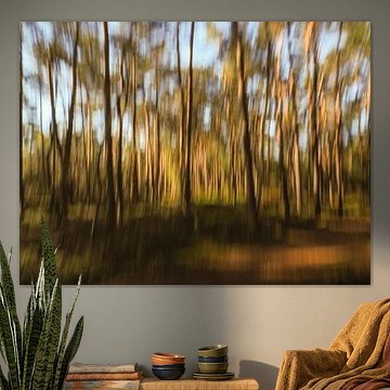 creatieve natuurfotografie 'woodlands' part 2