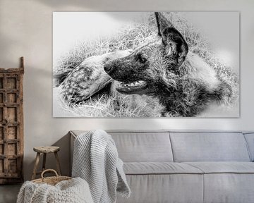Wildhund Afrika von Eric Nagel