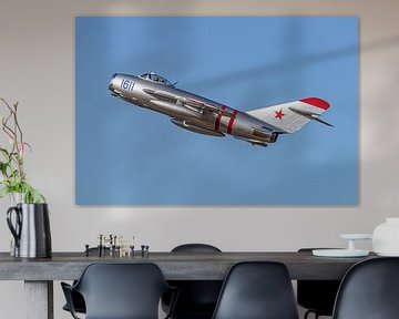 Mikoyan-Gurevich Mig-17F Fresco. van Jaap van den Berg