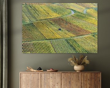 Autumn vineyards on the Rotenberg near Stuttgart by Walter G. Allgöwer