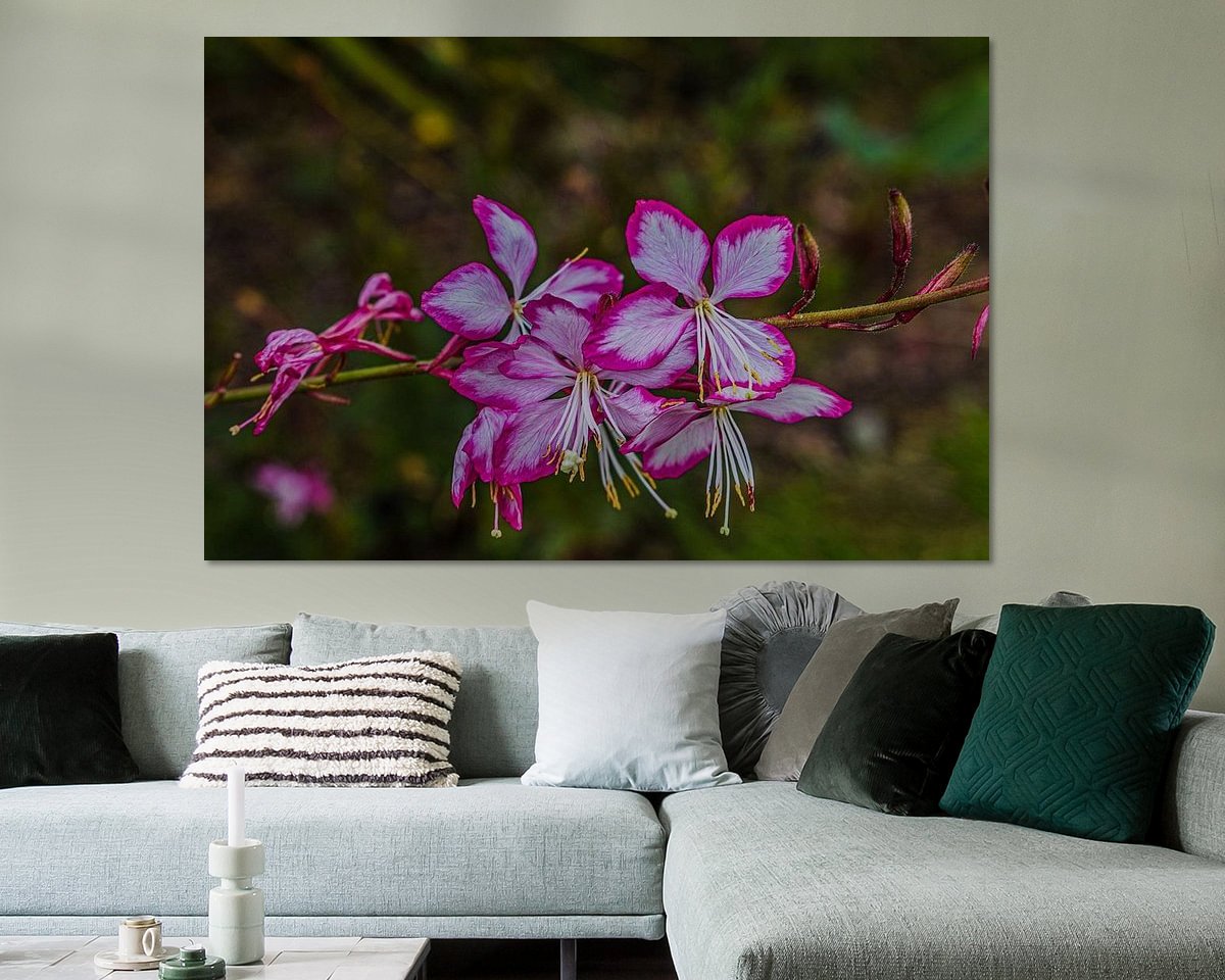 Raumvorschau