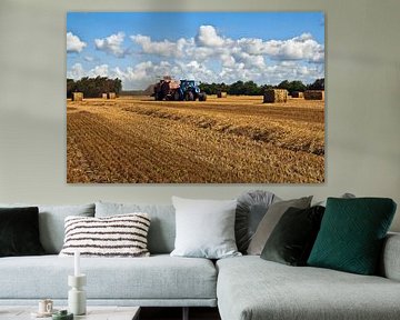 Zomeroogsttijd in het stoppelveld in Denemarken