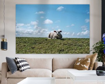 Lamb on Texel by Geert van Atteveld