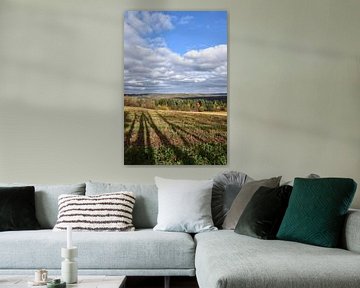 A field after the autumn harvest by Claude Laprise