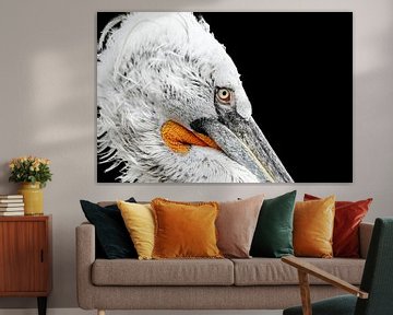 Prachtige pelikaan met een zwarte achtergrond van Nadine Cardinaels