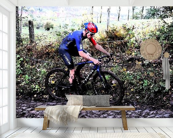 Aperçu de la chambre