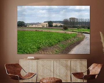 Winding agricultural road around Lennik (Flanders) by Werner Lerooy