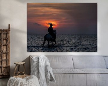Horse rider in the water by Marketa Zvelebil