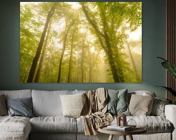 Atmospheric forest in autumn with a mist in the air by Sjoerd van der Wal Photography