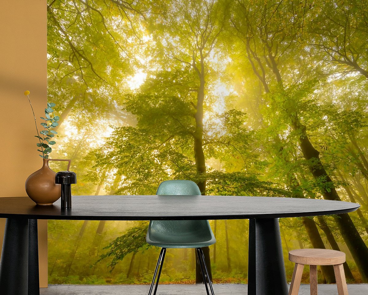 Raumvorschau