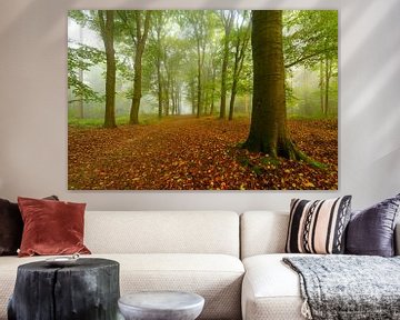 Pad in een sfeervol bos in de herfst met mist in de lucht van Sjoerd van der Wal Fotografie