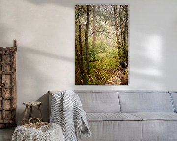 Ausblick auf den Wald von KB Design & Photography (Karen Brouwer)