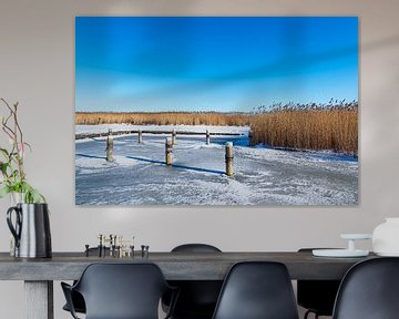 Bodden bei Ahrenshoop auf dem Fischland-Darß im Winter von Rico Ködder