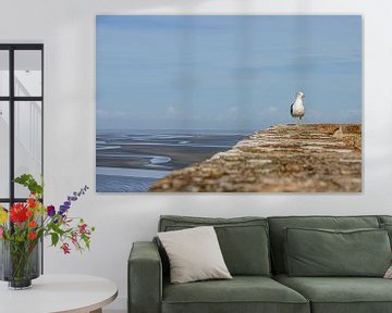 seagull on wall by Paul Veen