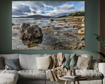 Loch Laiche, Glencoe, Schotland van Esther Bakker-van Aalderen