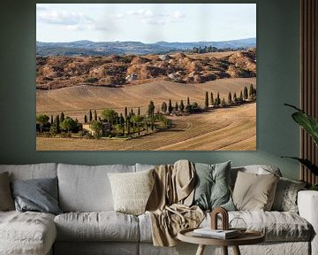 TOSKANA Crete Senesi - cypresses 001 von Bernd Hoyen