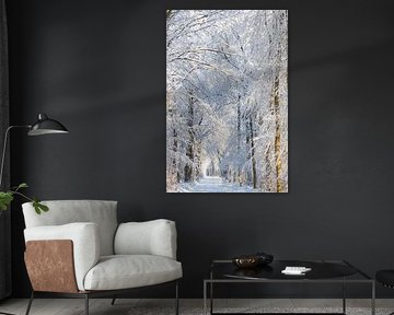 Winter, sneeuw in Beetsterzwaag Opsterland Friesland van Ad Huijben