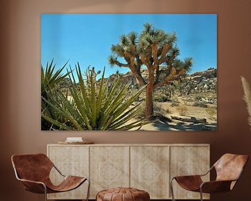 Joshua Tree NP sur Paul van Baardwijk