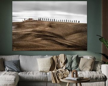 Cypress path with farm and brown hills and fields in Tuscany