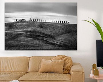 Chemin de cyprès avec collines et champs en Toscane en noir et blanc sur Manfred Voss, Schwarz-weiss Fotografie