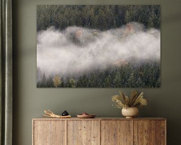 Schwarzwald im Nebel von Thomas Marx